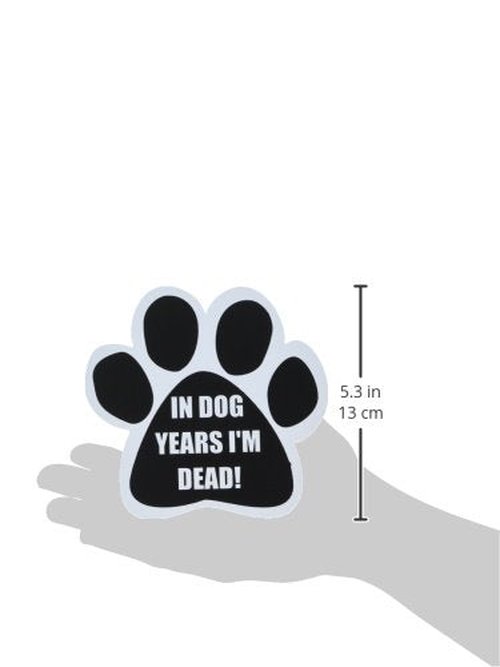 "In Dog Years I'm Dead!" Car Magnet With Unique Paw Shaped Design Measures 5.2 by 5.2 Inches Covered In UV Gloss For Weather Protection