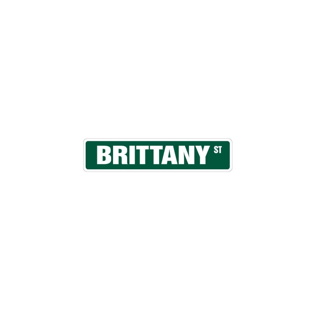 Brittany Street Sign Great Gift Idea 100's of Names to Choose from!!!