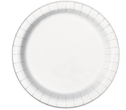 White Round Paper Dinner Plates - 9", 8 Count - Perfect for Parties, Showers, & Special Occasions