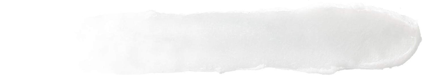 Burt's Bees Lip Balm - Coconut and Pear, Lip Moisturizer With Responsibly Sourced Beeswax, Tint-Free, Natural Origin Conditioning Treatment, 2 Tubes, 0.15 oz.
