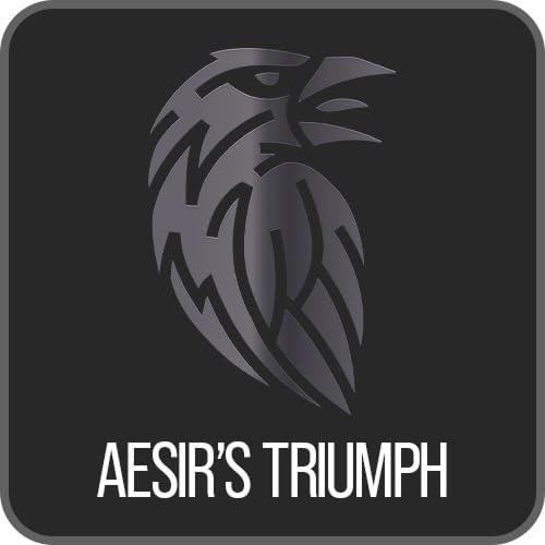 Men's Body Wash - Aesir's Triumph Natural Shower Gel | Skin Cleaning Agent - 240 mL / 8 fl. oz.
