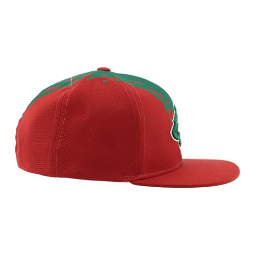 ZHATS Standard NHL Officially Licensed Adjustable Snapback Hat Flat Bill Z11 Retro Paintbrush, Team Color, One Size