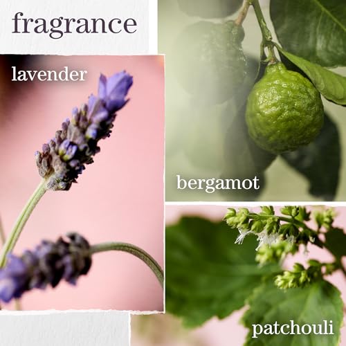 Pureology Hydrate Shampoo - For Dry or Color Treated Hair, Moisturizing Shampoo For Hydration & Softness, With Rose Extract & Green Tea, Vegan & Sulfate-Free