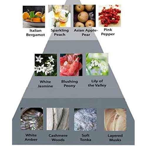 Perry Ellis 360 Coral for Women, 8.0 fl oz Body Mist, clean