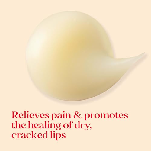 Burt's Bees Stocking Stuffers, Cold Sore Treatment and Medicated Lip Balm, With Menthol and Eucalyptus Oil, Natural Origin Skincare, 2 Tubes, 0.07 oz./0.15 oz.