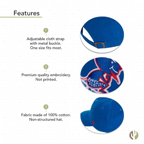 Desert Cactus DePaul University Baseball Hat Blue Demons Brimmed Embroirderd Cap Adjustable Cloth Strap Adult (Style C1 Vintage)