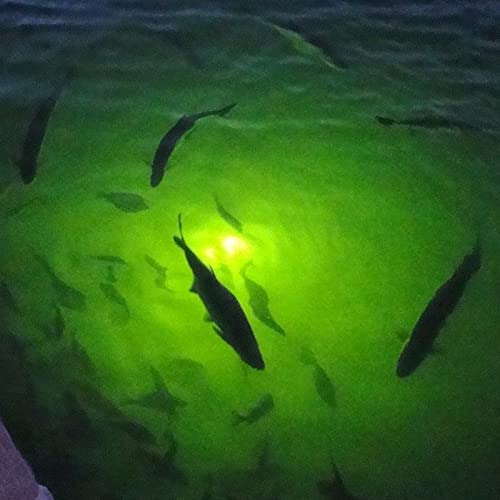 LOSTCAT 18W DC 12V Green IP68 Waterproof Aluminum Super Bright LED Fish Bait Submersible Dock Underwater Fishing Light Attractants for at Night Snook Crappie with Battery Clamps Car Charger Plug
