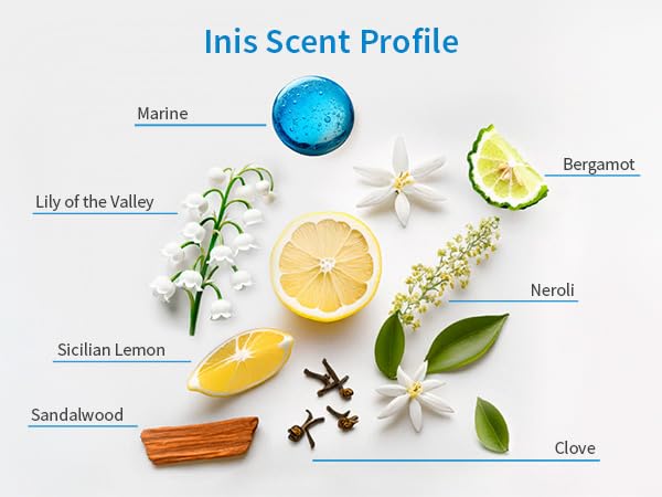Inis Liquid Hand Wash & Lotion Caddy Set | Seaweed & Shea Butter, Clean Ocean Fresh Scent