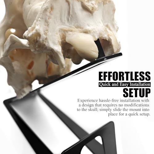 VMSIXVM European Mount Skull Hanger Stand, Heavy Duty Table Top Skull Hanger for Deer Head, Pronghorn and Other Smaller Animals, Euro Mount Taxidermy Deer Head Hooker for Desk Shelf Display