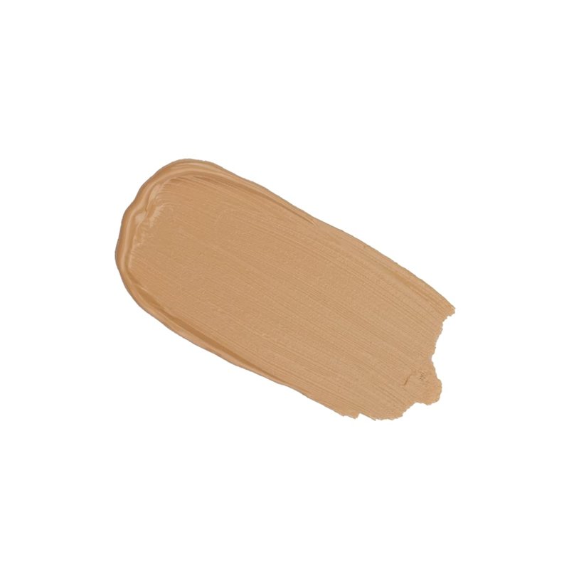 PINK UP Easy Cover Liquid Makeup| Foundation Make Up| Tinted Moizturizer for face| Liquid Make Up| Medium coverage| Water base| Alcohol free| Model PKEC500