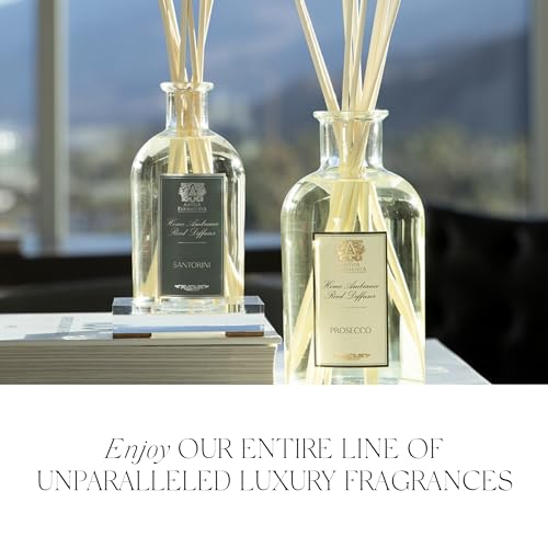 Antica Farmacista Bubble Bath - Relaxing Foam Bath with Honey, Jojoba Oil & Aloe Vera - Luxury Gift for Any Occasion - Elderflower, 16 fl oz