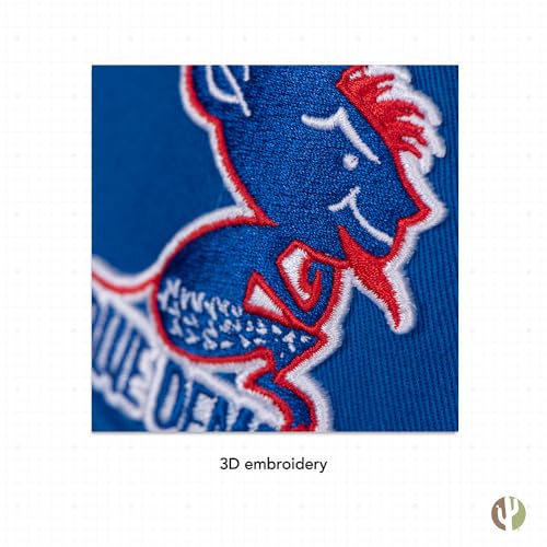 Desert Cactus DePaul University Baseball Hat Blue Demons Brimmed Embroirderd Cap Adjustable Cloth Strap Adult (Style C1 Vintage)