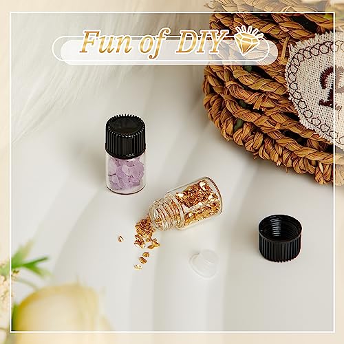 Lallisa 100 Pcs 2 ml Glass Vials with Screw Black Caps and Plastic Stoppers, Leak-proof Clear Small Sample Vials for Oil Travel Perfume Containers for Aromatherapy, Wedding Favors, DIY Crafts