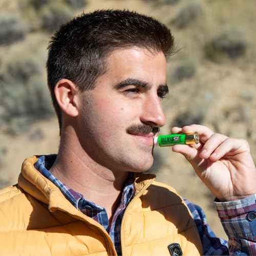 BALMSHOT Lip Balm 4 Pack (Minty Combo Variety Pack)