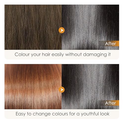 Hair Dye Shampoo,New Instant Hair Care dye shampoo For Men And Women (black)