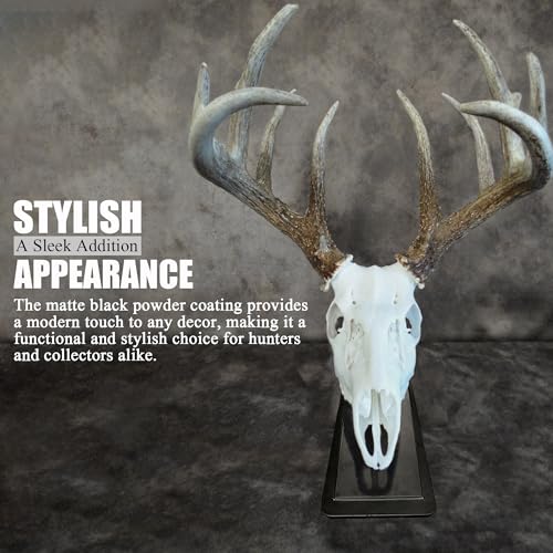 VMSIXVM European Mount Skull Hanger Stand, Heavy Duty Table Top Skull Hanger for Deer Head, Pronghorn and Other Smaller Animals, Euro Mount Taxidermy Deer Head Hooker for Desk Shelf Display