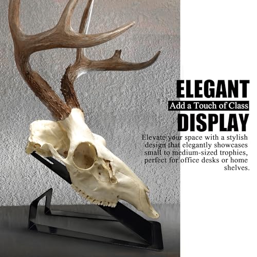 VMSIXVM European Mount Skull Hanger Stand, Heavy Duty Table Top Skull Hanger for Deer Head, Pronghorn and Other Smaller Animals, Euro Mount Taxidermy Deer Head Hooker for Desk Shelf Display
