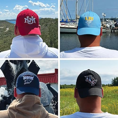 Desert Cactus DePaul University Baseball Hat Blue Demons Brimmed Embroirderd Cap Adjustable Cloth Strap Adult (Style C1 Vintage)