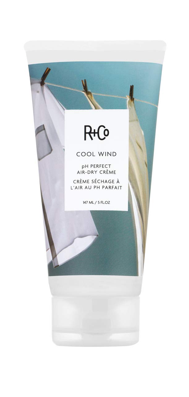 R+Co Cool Wind pH Perfect Air Dry Hair Cream (, Hydrates, 5 Oz