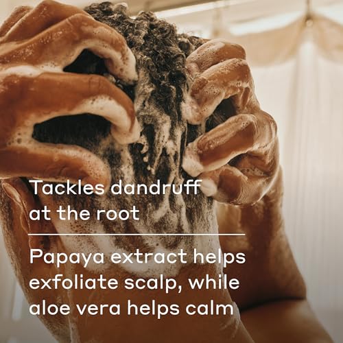 Harry's Extra-Strength Anti-Dandruff Men's 2 in 1 Shampoo and Conditioner - (3 Pack) 14 fl oz - Made with 2% Pyrithione Zinc