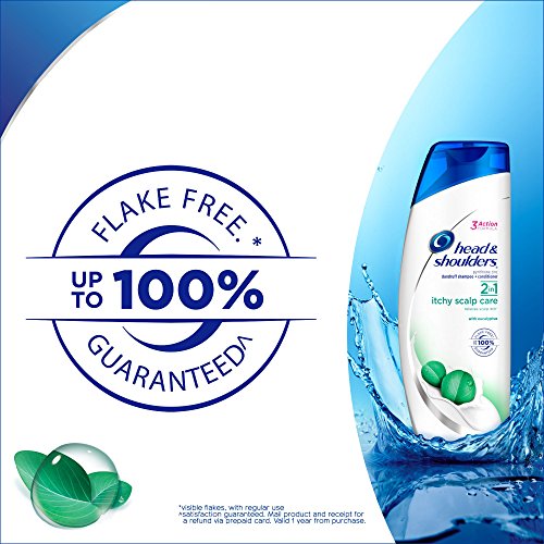 Head and Shoulders Itchy Scalp Care with Eucalyptus 2-in-1 Anti-Dandruff Shampoo + Conditioner 8.45 Fl Oz