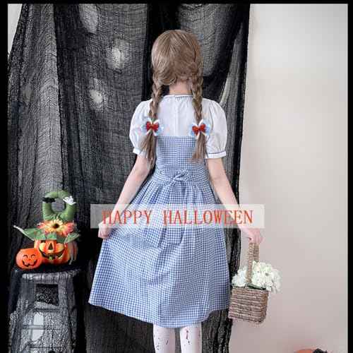 Blue White Gingham Hair Bow Clips, 3.5 Inch Checker Pigtail Bows Wizard Halloween Christmas Mother's Da Costume Accessories 4PCS