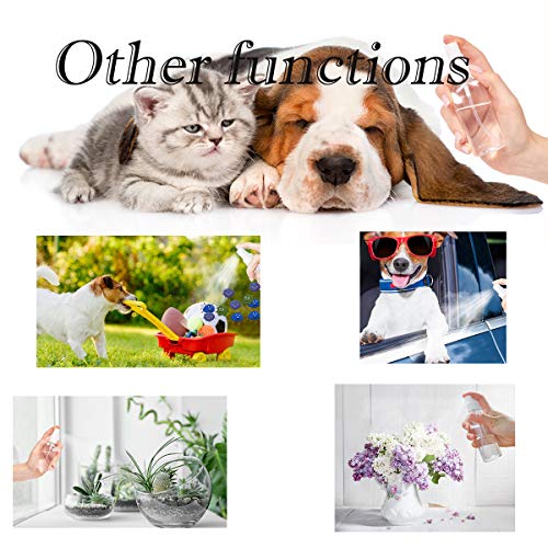 ZEJIA 3 Pack Small Spray Bottle, 2.7oz/80ml Travel Spray Bottle, Empty Fine Mist Spray Bottles, Refillable Mini Spray Bottles with Labels