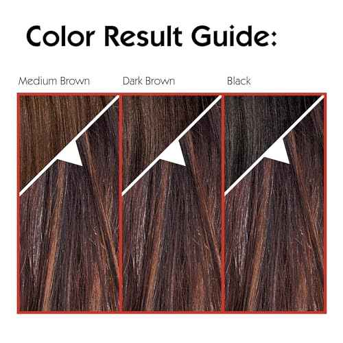 L'Oreal Paris Couleur Experte 2-Step Home Hair Color and Highlights Kit, French ?clair