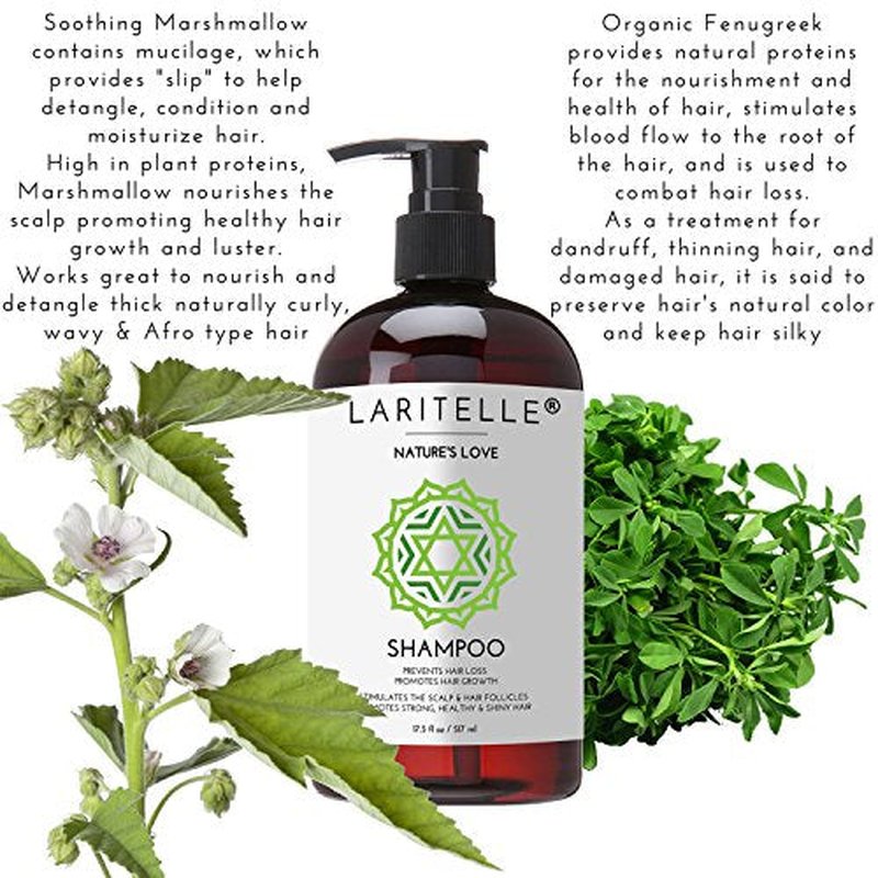 Laritelle Organic Shampoo 17 oz + Conditioner 16 oz | Prevents Hair Loss, Promotes Hair Growth | Organic Quinoa + Keratin + Rosemary, Ginger & Grapefruit | NO GMO, SLS, Gluten, Parabens, Phthalates