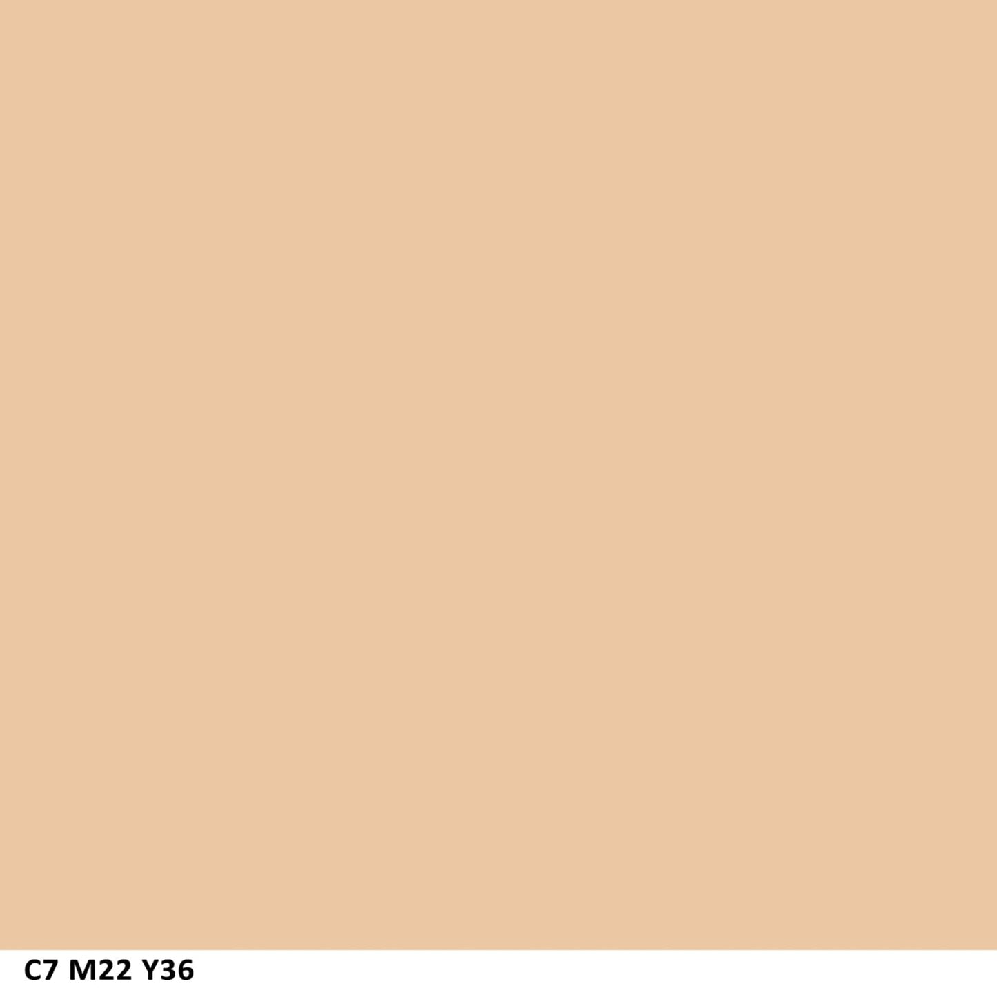COVERGIRL Clean Matte Pressed Powder, Oil Control Powder, 1 container, .35 Fl Oz, Face Powder, Oil Free Loose Powder, Matte Finish, Lightweight, Shine Free Formula, Leaves Skin Smooth and Clean