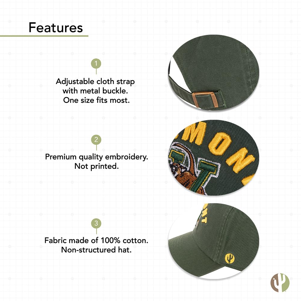 Desert Cactus University of Vermont Baseball Hat UVM Catamounts Brimmed Embroirderd Hats Cap Adjustable Cloth Strap Adult (Style D) Green
