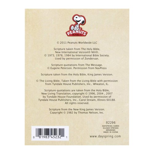 DaySpring - Peanuts - Encouragement Notes - 32 Affirmations for Your Friends, Coworkers, or Family