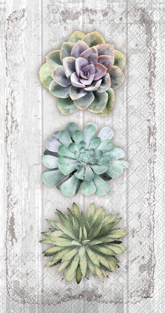 IHR Ideal Home Range Dinner Napkins Disposable 3-Ply Paper Hand Towels, 8.5" x 4.5", Succulents Still Life, 16-Count