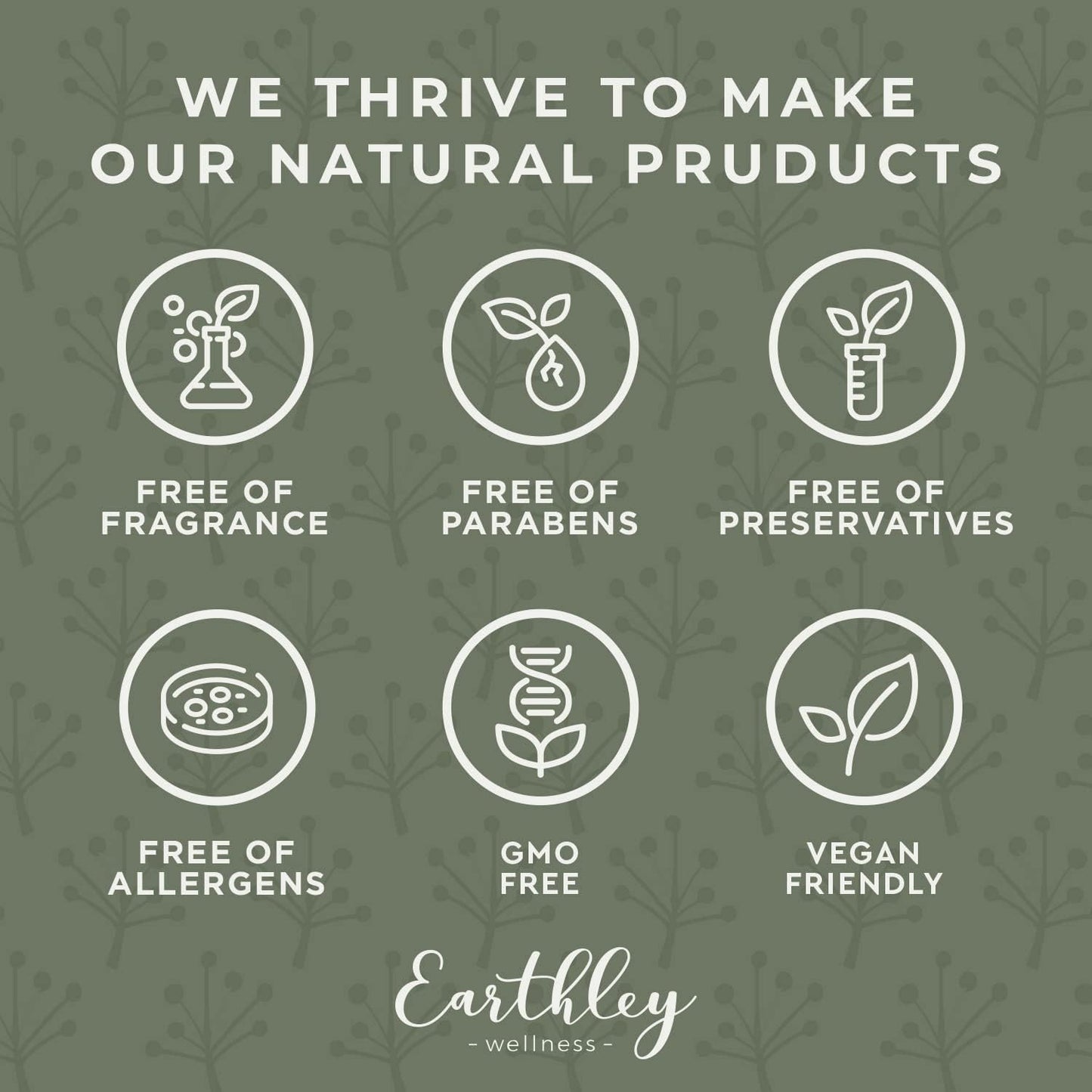 Earthley Wellness Earache Ease, Organic Herbal Ear Comfort Drops with Mullein Leaf & Olive Oil, Safe for Babies, Kids & Adults, Clean Formula, Packaging May Vary (1 oz)