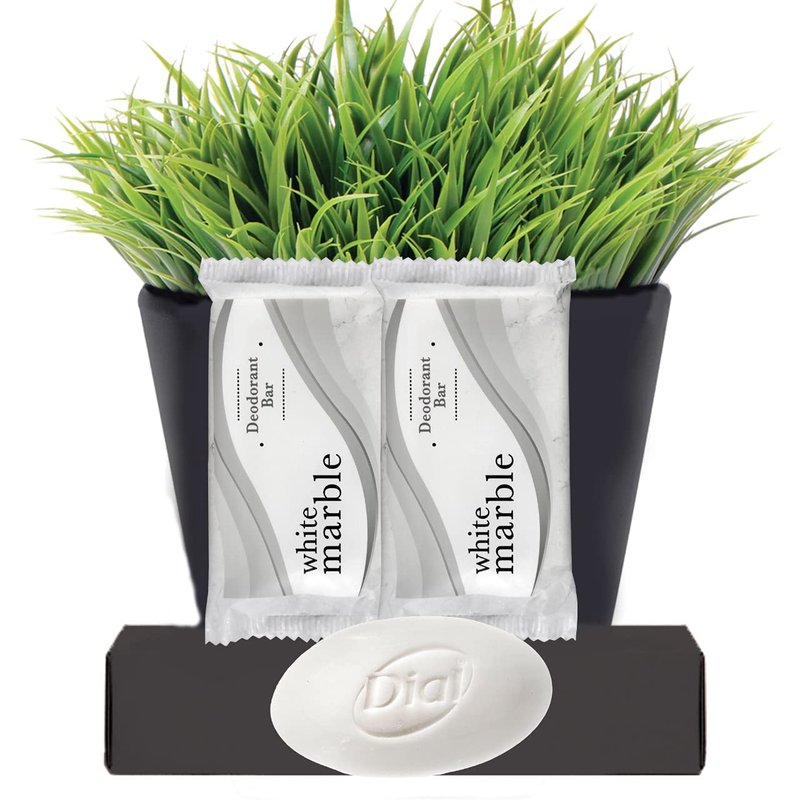 Dial Deodorant Hotel bar soap - Travel Size Body Moisturizing Bath Soaps Wrapped Sachets for Hotels, Rentals, Camping, Guest Room, Charity Pack Mild & Fresh Scent 50 White Bars Per Case # 1 1/2 Small