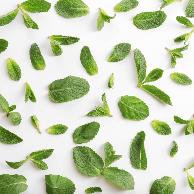 Menthol Crystals - 100% Pure Mentha Arvensis USP Food Grade