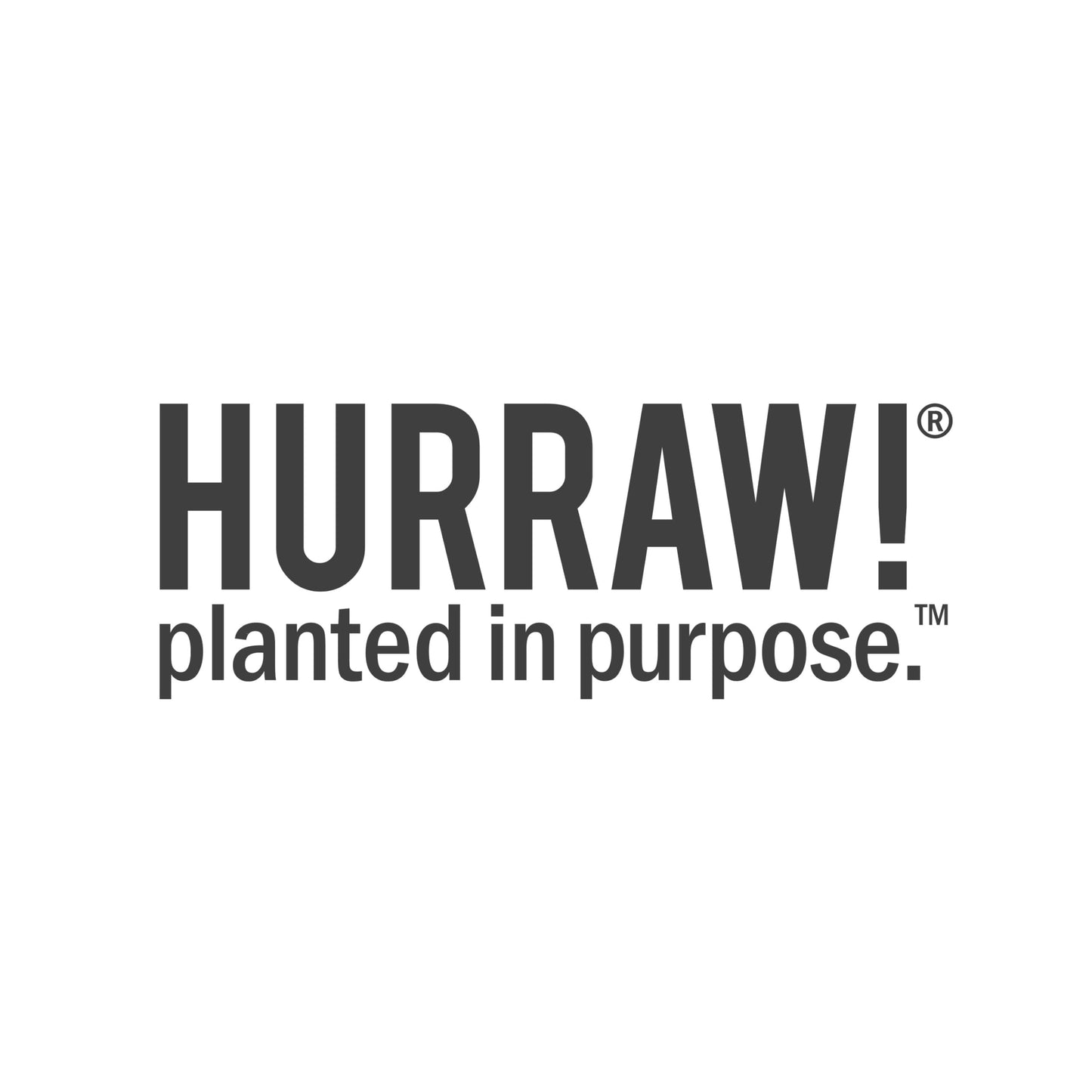 Hurraw! Plantcolor Lip Color Bundle: №1 №2 №3