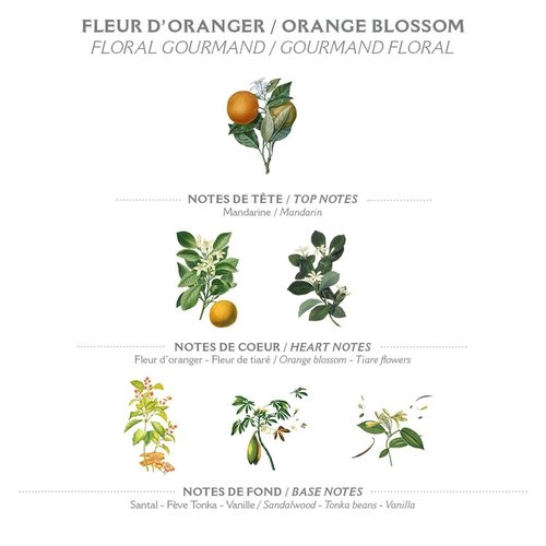 Panier des Sens - Orange Blossom Bar Soap - Moisturizing Scented Soap Bar - Natural Soap with Olive Oil - 97% Natural Ingredients Made in France - Vegan Friendly - Body & Hand Soap Bars 2x5.3 oz