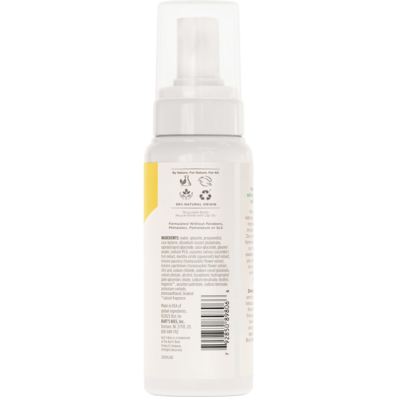 Burt's Bees Refreshing Foaming Face Cleanser and Face Wash with Cucumber and Mint, 4.8 Fluid