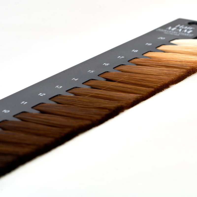 Hair Level Scale Chart Set Checking Brightness For Hair Salon and Hairdresser
