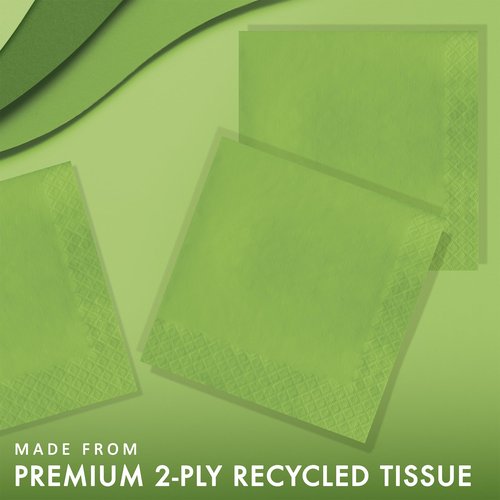 Creative Converting Touch of Color 2-Ply 50 Count Paper Lunch Napkins, Fresh Lime - 663123B