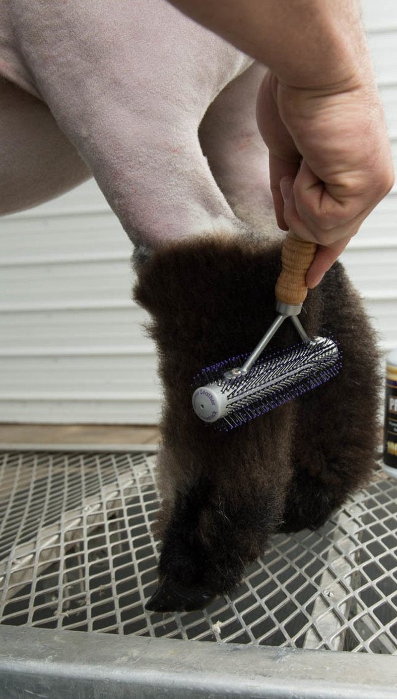 Weaver Leather Livestock Mini Wide Range Brush