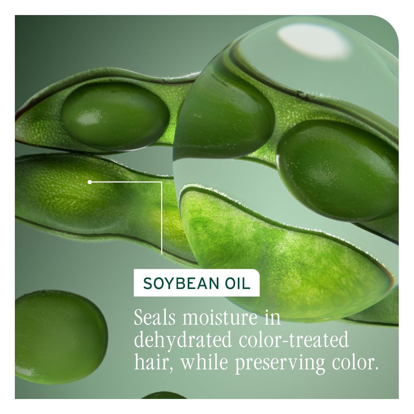 Biolage Color Last Shampoo - For Color-Treated Hair, Nourishes, Strengthens, Hydrates, Soybean Oil & Stearic Acid, Paraben & Mineral Oil-Free, Vegan, Packaging May Vary