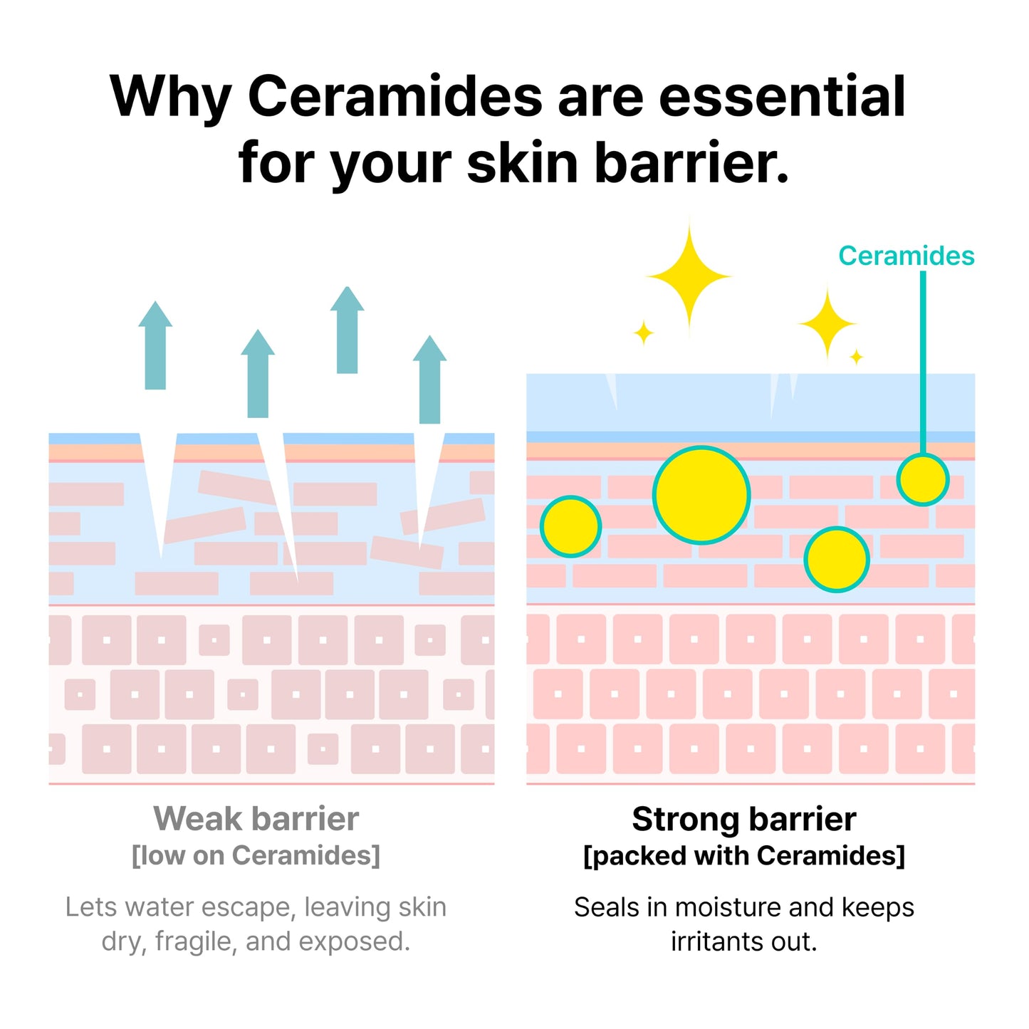 Dr.Jart+ Ceramidin Skin Barrier Repair Korean Face Serum Toner with Ceramides | Milky Toner | Korean Skin Care, 5.07 Fl Oz
