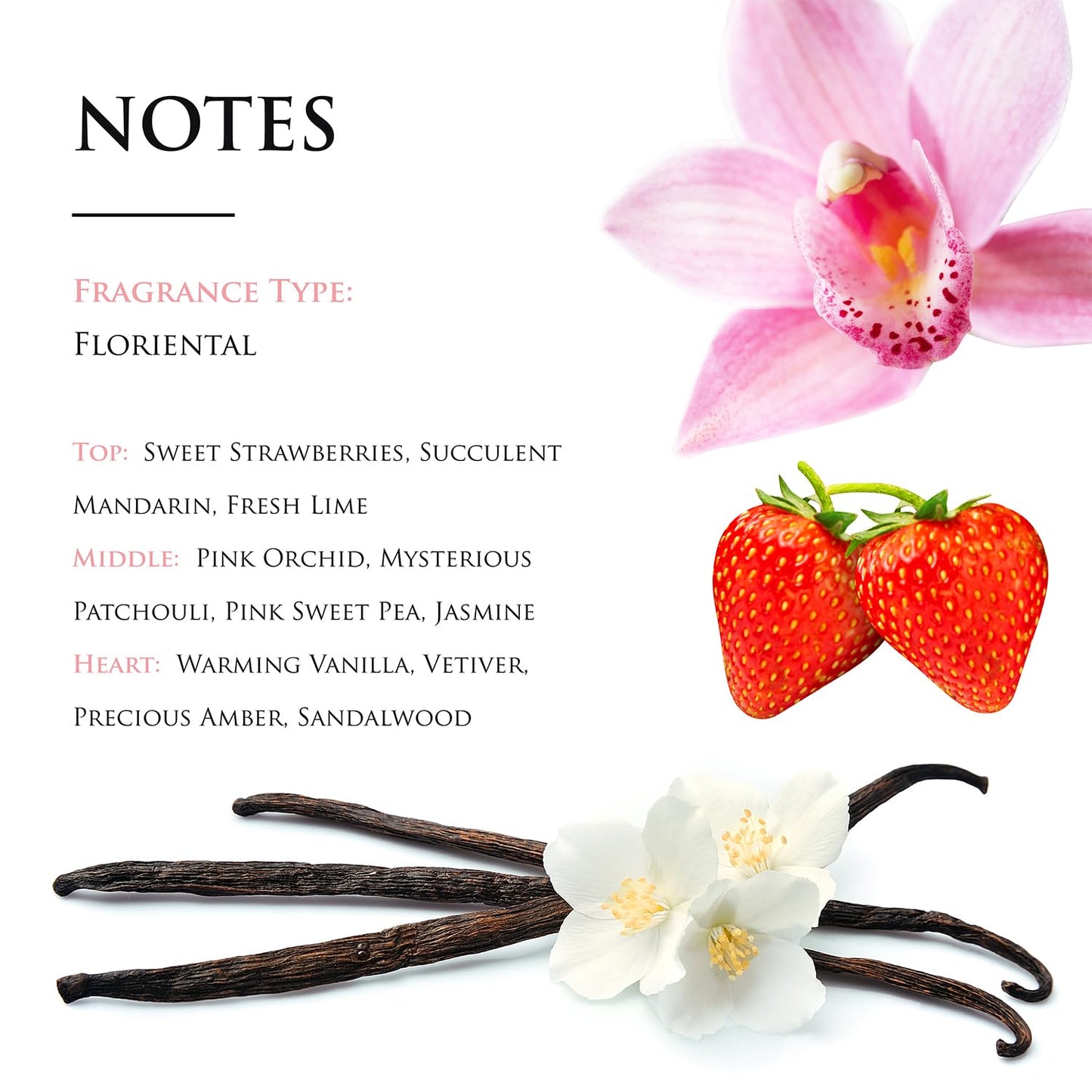Michel Germain Sexual Noir Eau de Parfum Refillable Purse Spray, Top Notes of Strawberries, Mandarin and Lime, Long-Lasting, Warm Floral & Sensual Gift for Her, 0.15 Fl Oz