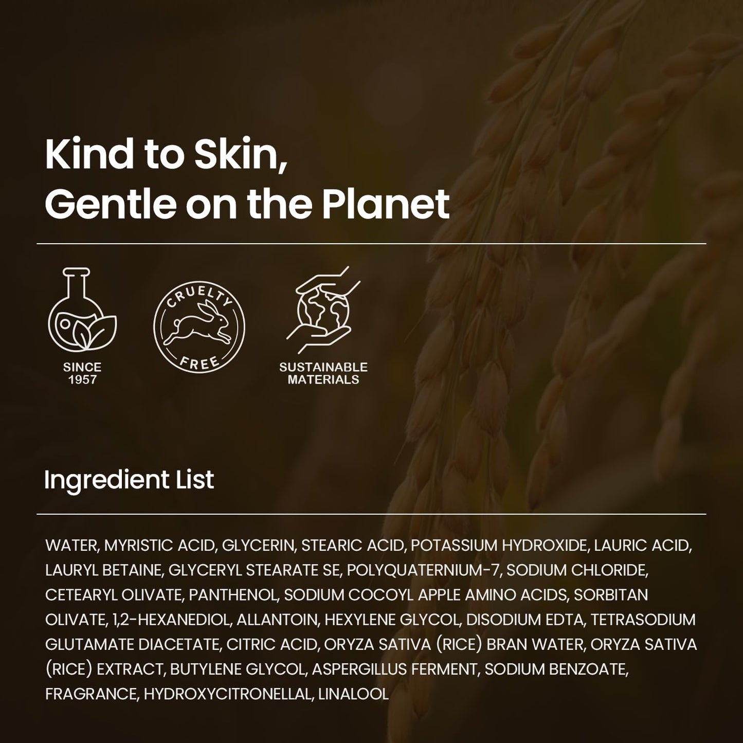 SKINFOOD Rice Daily Cleansing Foam 150ml - Delicate, Fine, and Smooth Brightening Cleansing with Fermented White Rice Ingredients - Firming Bubble Facial Foam Cleanser - For Men and Women (5.07 fl. oz.)
