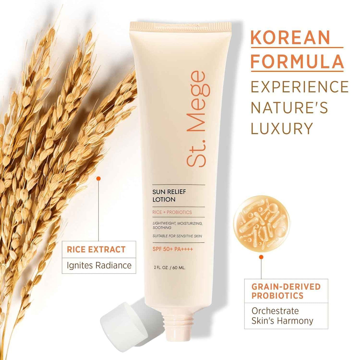 St. Mege Rice Korean Lightweight Sunscreen - Daily 50+ PA++++ Travel Size Sunscreen Lotion - Reef Safe, Asian Skincare Sunblock
