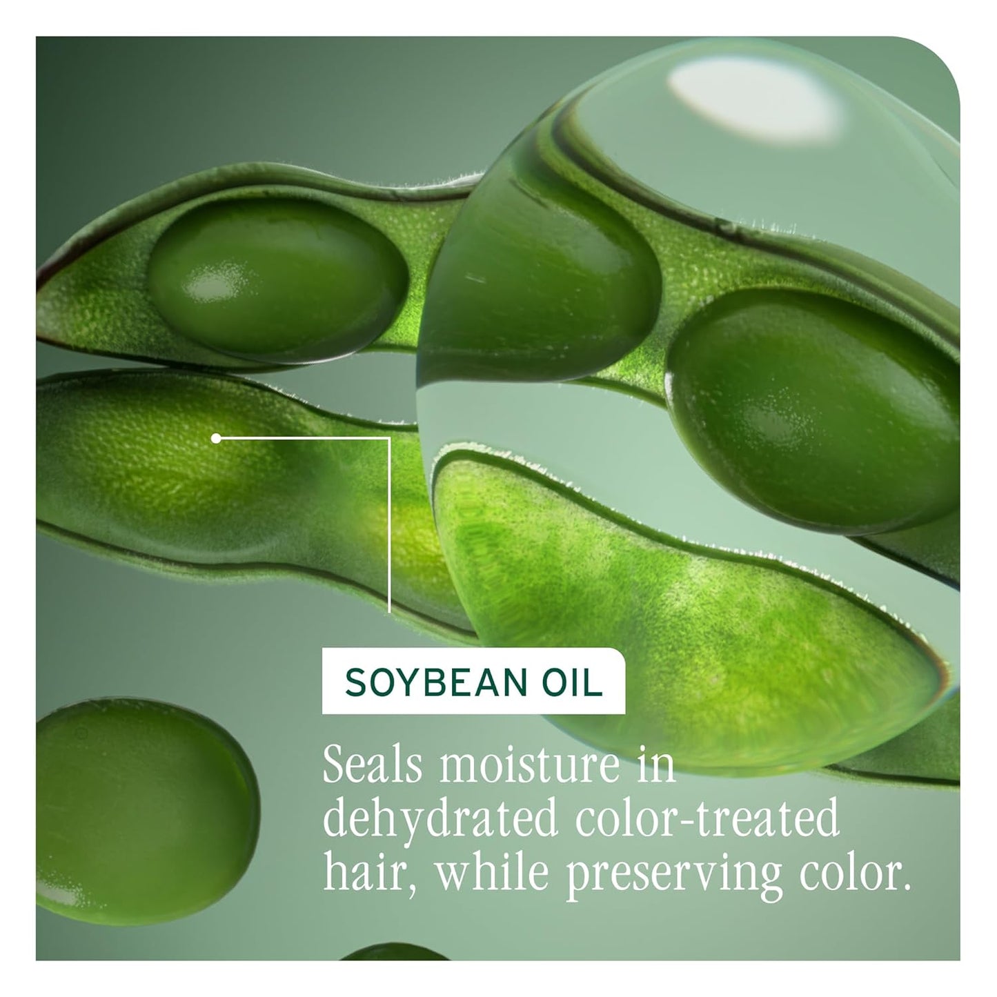 Biolage Color Last Shampoo - For Color-Treated Hair, Nourishes, Strengthens, Hydrates, Soybean Oil & Stearic Acid, Paraben & Mineral Oil-Free, Vegan, Packaging May Vary