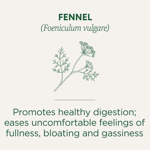 Traditional Medicinals Organic Fennel Tea, 16 Count