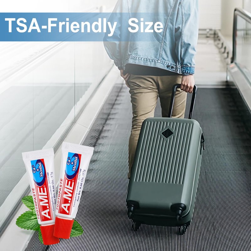 Toothpaste Bulk Travel Size, Disposable Small Travel Portable Mini Compact Pocket Size Toothpaste for Bad Breath, Vacation/Hotel/Camping Shelter/Homeless/Nursing Home/Charity 0.6 oz/ 17g (200 Tubes)